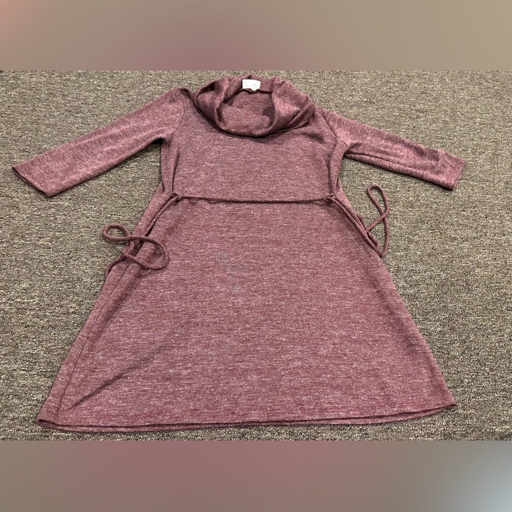 EUC Women's Everly Turtleneck Sweater Dress L casual warm comfy soft knit LS
